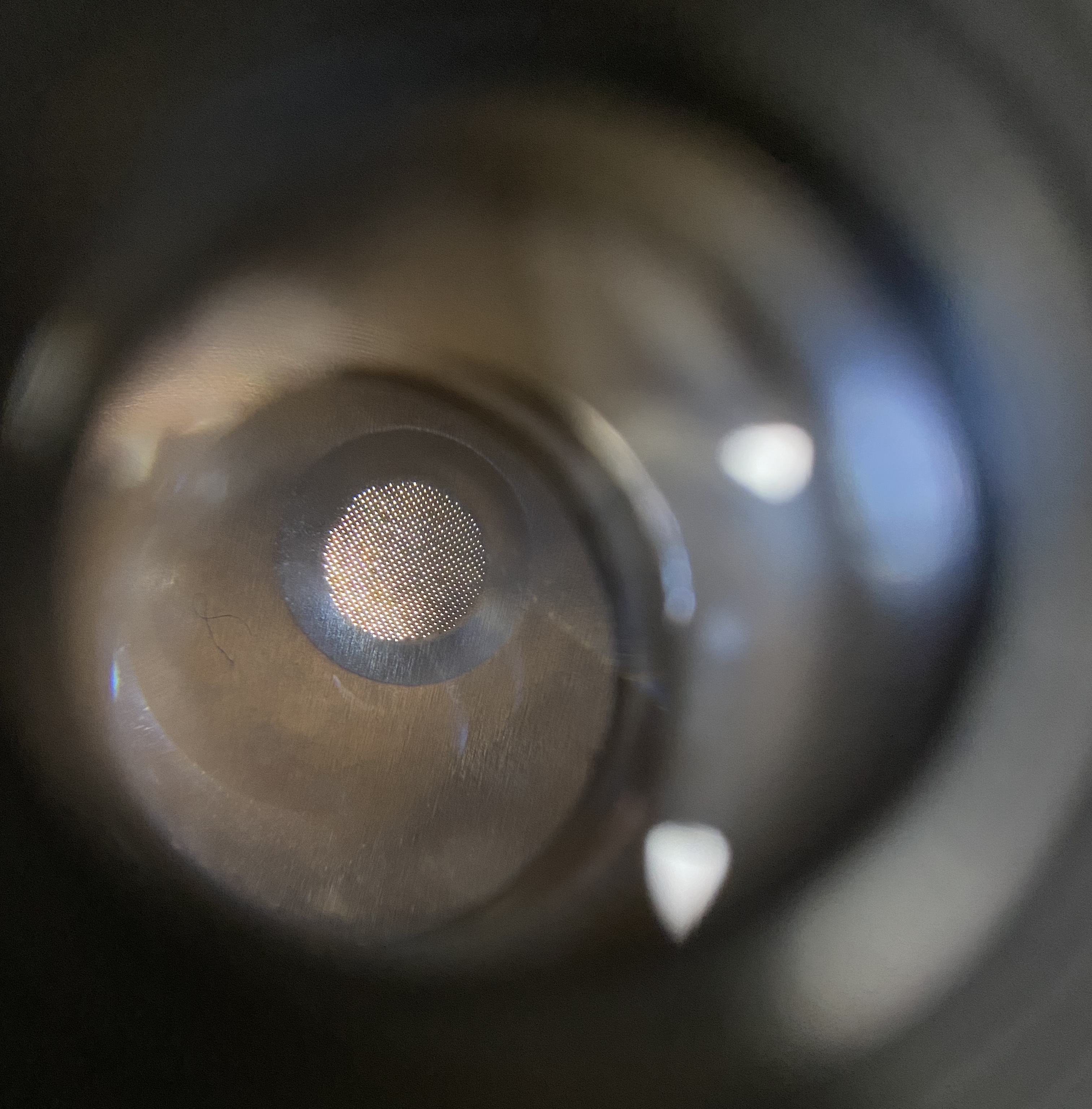 1650096682158478.jpeg 3B8D8B92-9C9D-491D-B412-54CB4201BF58.jpeg