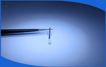 1709625215202751.jpg mtw-81270736_副本.jpg